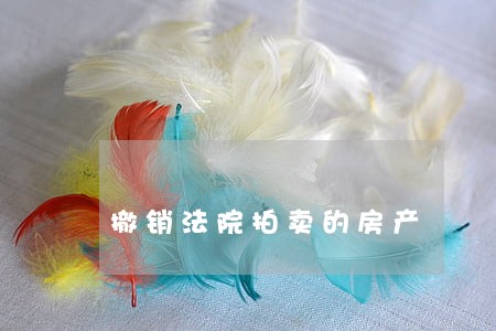 撤销法院拍卖的房产 撤销法院拍卖的房产