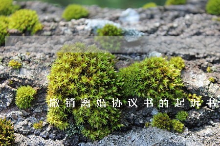 撤销离婚协议书的起诉书 撤销离婚协议书的起诉书