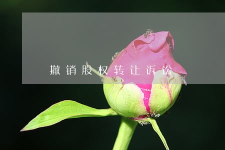 撤销股权转让诉讼 撤销股权转让诉讼
