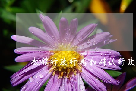 撤销行政行为和确认行政行为违法
