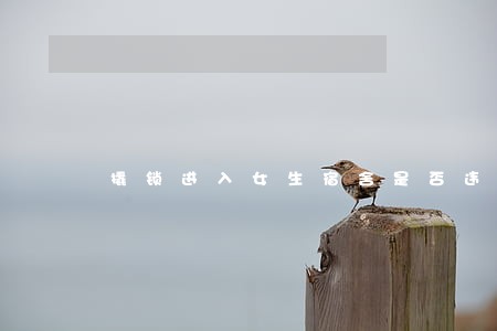 撬锁进入女生宿舍是否违法