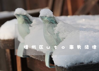播州区wto事务法律咨询热线
