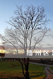 播州区法律咨询热线 播州区法律咨询热线