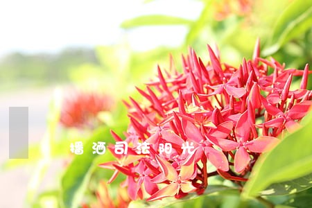 播洒司法阳光 播洒司法阳光