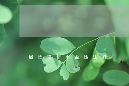 播读淫秽小说违法吗