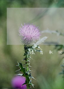 擅自取回抵债车辆不违法 擅自取回抵债车辆不违法
