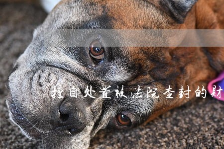 擅自处置被法院查封的财产 擅自处置被法院查封的财产