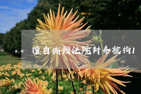 擅自撕毁法院封条被拘15天 擅自撕毁法院封条被拘15天