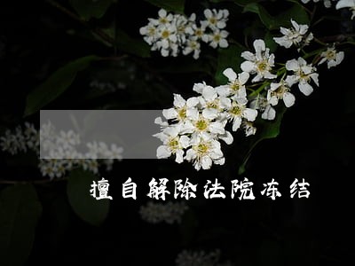 擅自解除法院冻结 擅自解除法院冻结