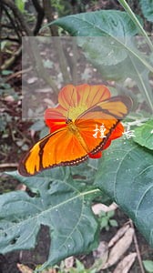 擅长代理合同律师一般怎么收费 擅长代理合同律师一般怎么收费