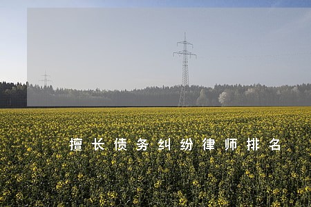 擅长债务纠纷律师排名 擅长债务纠纷律师排名