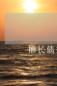 擅长债务纠纷律师费怎么算