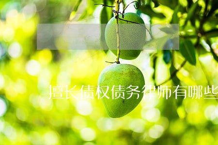 擅长债权债务律师有哪些 擅长债权债务律师有哪些
