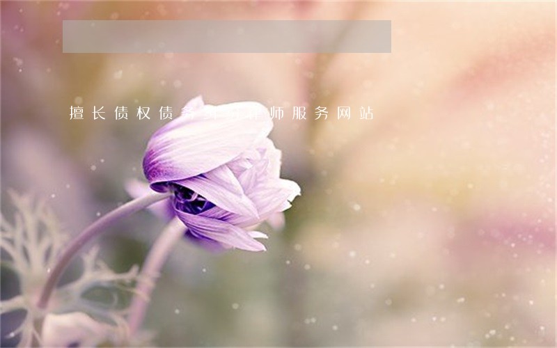 擅长债权债务纠纷律师服务网站