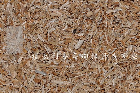 擅长刑事咨询律师有哪些 擅长刑事咨询律师有哪些
