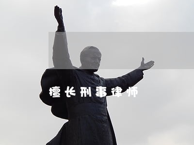 擅长刑事律师 擅长刑事律师