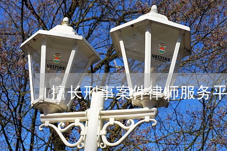 擅长刑事案件律师服务平台 擅长刑事案件律师服务平台