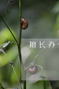 擅长办公司债务律师收费标准 擅长办公司债务律师收费标准