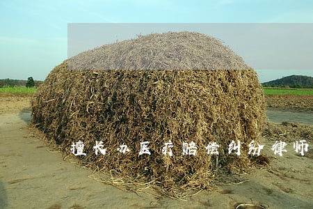擅长办医疗赔偿纠纷律师哪个好 擅长办医疗赔偿纠纷律师哪个好