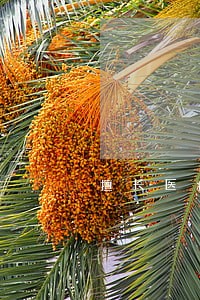 擅长医疗事故的律师怎么收费 擅长医疗事故的律师怎么收费