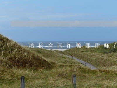 擅长合同诈骗罪律师有哪些 擅长合同诈骗罪律师有哪些
