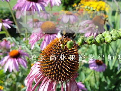 擅长商业秘密案律师怎么收费 擅长商业秘密案律师怎么收费