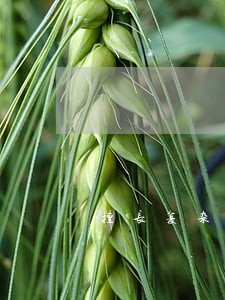 擅长复杂财产分割律师价格 擅长复杂财产分割律师价格