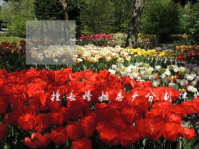 擅长婚姻房产分割律师起诉费用 擅长婚姻房产分割律师起诉费用