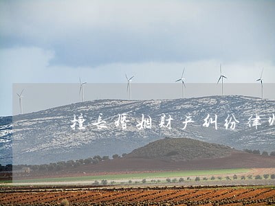擅长婚姻财产纠纷律师事务所