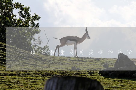 擅长存量房买卖律师诉讼费 擅长存量房买卖律师诉讼费
