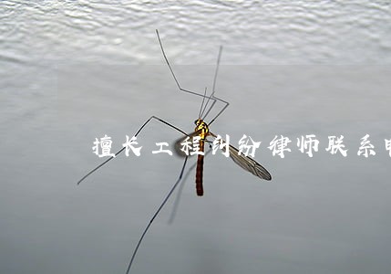 擅长工程纠纷律师联系电话 擅长工程纠纷律师联系电话