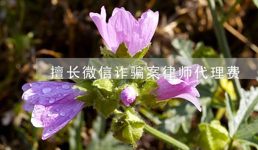 擅长微信诈骗案律师代理费 擅长微信诈骗案律师代理费