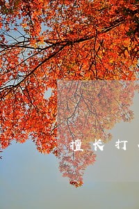 擅长打企业拆迁赔偿律师办理流程 擅长打企业拆迁赔偿律师办理流程