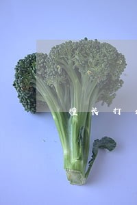 擅长打公司股权变更律师前十 擅长打公司股权变更律师前十