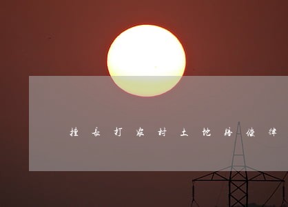 擅长打农村土地赔偿律师排行榜