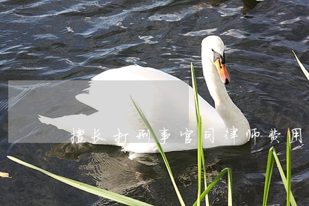 擅长打刑事官司律师费用 擅长打刑事官司律师费用