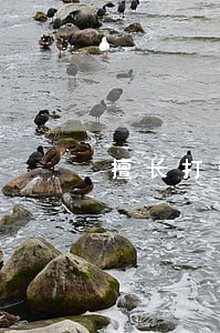 擅长打劳动纠纷律师专业服务 擅长打劳动纠纷律师专业服务