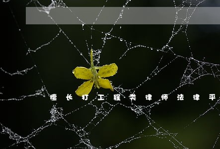 擅长打工程类律师法律平台 擅长打工程类律师法律平台