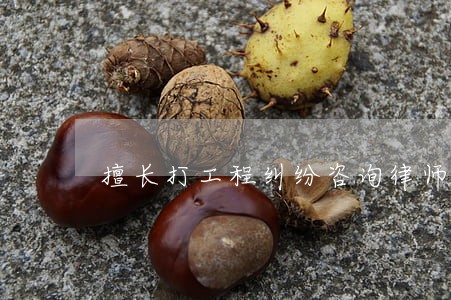 擅长打工程纠纷咨询律师排行榜