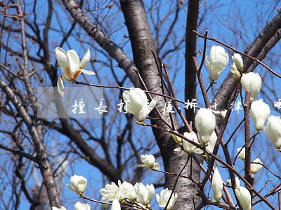 擅长打房屋拆迁律师哪个厉害 擅长打房屋拆迁律师哪个厉害