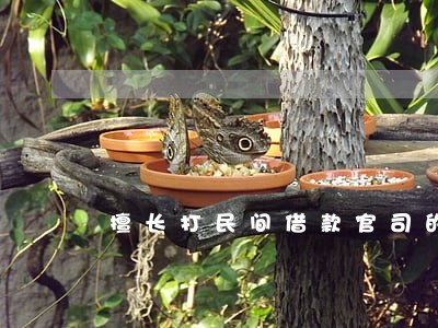 擅长打民间借款官司的律师 擅长打民间借款官司的律师