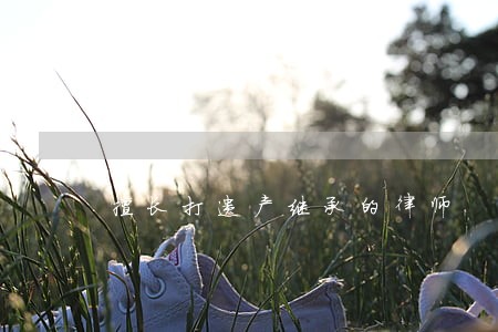 擅长打遗产继承的律师 擅长打遗产继承的律师