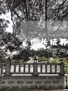 擅长抚养权纠纷律师咨询 擅长抚养权纠纷律师咨询