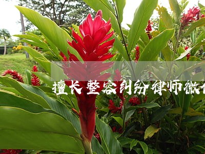 擅长整容纠纷律师微信咨询 擅长整容纠纷律师微信咨询