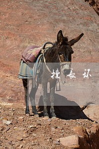 擅长环境纠纷律师事务所 擅长环境纠纷律师事务所