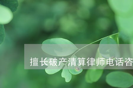 擅长破产清算律师电话咨询 擅长破产清算律师电话咨询