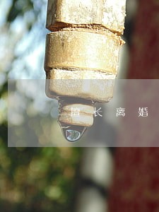 擅长离婚协议纠纷律师收费 擅长离婚协议纠纷律师收费