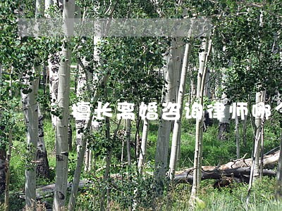 擅长离婚咨询律师哪个强 擅长离婚咨询律师哪个强