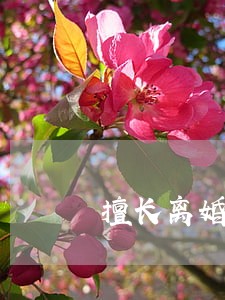 擅长离婚官司律师委托咨询 擅长离婚官司律师委托咨询
