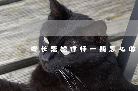 擅长离婚律师一般怎么收费 擅长离婚律师一般怎么收费